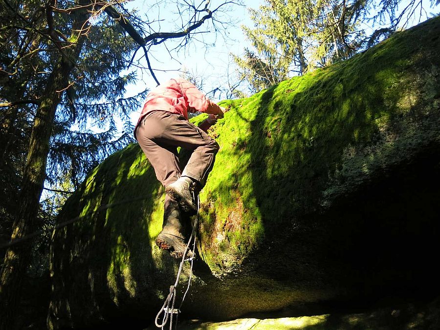 Waldviertel